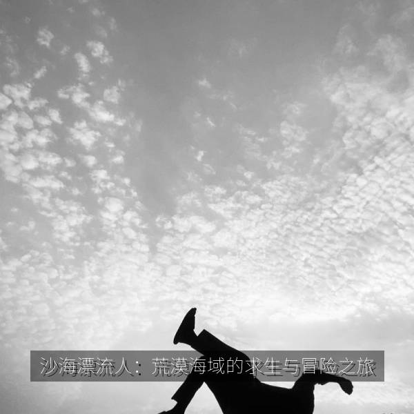 沙海漂流人：荒漠海域的求生与冒险之旅 海报